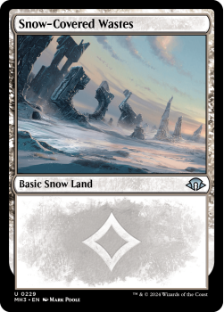 Snow-Covered Wastes single card from Magic the Gathering