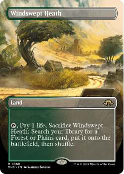 Windswept Heath (BORDERLESS) single card from Magic the Gathering