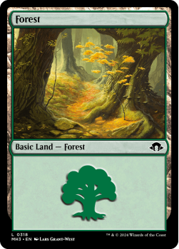 Forest single card from Magic the Gathering