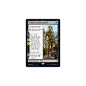 Tymaret Calls the Dead : THEROS: BEYOND DEATH 118/254 - Magic the Gathering Single Card - Image 2