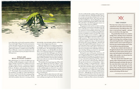 Vaesen Nordic Horror Role Playing Game Rule Book - Image 2