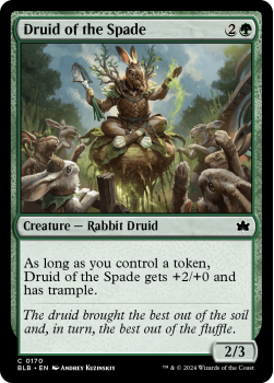 Druid of the Spade single card from Magic the Gathering
