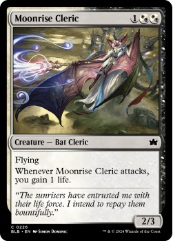 Moonrise Cleric single card from Magic the Gathering