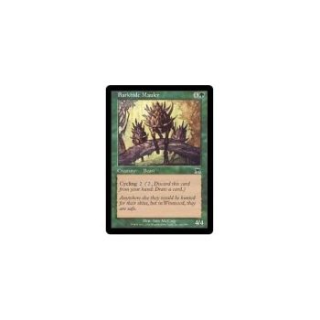 Barkhide Mauler : ONSLAUGHT 246/350 - Magic the Gathering Single Card