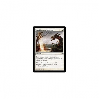 Shieldmate's Blessing : ZENDIKAR 035/249 - Magic the Gathering Single Card