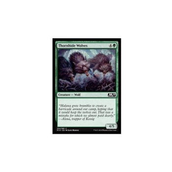Thornhide Wolves : MAGIC 2019 204/314 - Magic the Gathering Single Card