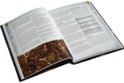 Warhammer Fantasy RPG: Ubersreik Adventures III - Image 4