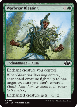 Warbriar Blessing single card from Magic the Gathering