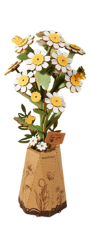 Rolife Chamomile