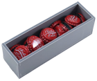 Folded Space: Fallout - Wasteland Warfare Insert - Image 3