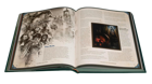 Our Brilliant Ruin - Rule Book: Brilliant Edition Signed - Image 2