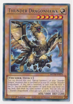 Thunder Dragonhawk (Rare) single card from Yu-Gi-Oh!