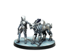 Infinity : Andromeda, Sophistes of the Steel Phalanx (Submachine Gun)