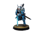 Infinity : Teutonic Knights - Image 3