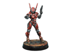 Infinity : Mobile Brigada - Image 5