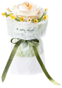 ROKR White Camellia AF011