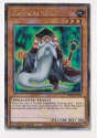 Mathematician (Quarter Century Secret Rare) : RA04-EN223 - Yu-Gi-Oh ...