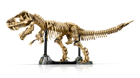 LEGO&reg; Jurassic World Dinosaur Fossils: Tyrannosaurus Rex (76968) - Image 6
