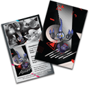 Pokemon Scarlet & Violet: Black Bolt & White Flare Unova Mini Tin &ndash; Chandelure & Zorua - Image 3