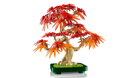 LEGO&reg; Botanicals Japanese Red Maple Bonsai Tree (10348) - Image 2