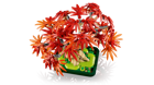 LEGO&reg; Botanicals Japanese Red Maple Bonsai Tree (10348) - Image 4