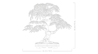 LEGO&reg; Botanicals Japanese Red Maple Bonsai Tree (10348) - Image 5