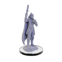 Critical Role Unpainted Miniatures: Percival & Cassandra De Rolo - Image 2