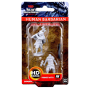 D&D Nolzur's Marvelous Minis: Human Barbarian (Male)
