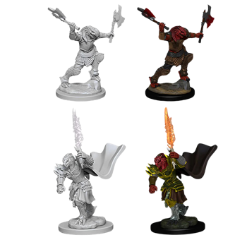 D&D Nolzur's Marvelous Minis: Dragonborn Fighter (Female)