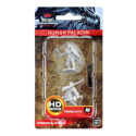 D&D Nolzur's Marvelous Minis: Human Paladin (Male)
