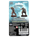 D&D Nolzur's Marvelous Unpainted Miniatures: Human Paladin Male - Image 3