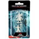 D&D Nolzur's Marvelous Unpainted Miniatures: Half-Elf Wizard Male