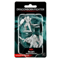 D&D Nolzur's Marvelous Unpainted Miniatures: Male Dragonborn Fighter