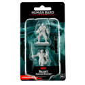 D&D Nolzur's Marvelous Unpainted Miniatures: Male Human Bard