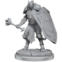 Dungeons & Dragons:Nolzur's Marvellous Miniatures - Dragonborn Clerics