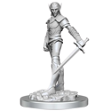Dungeons & Dragons:Nolzur's Marvellous Miniatures - Drow Fighters
