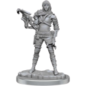 D&D Nolzur's Marvelous Unpainted Miniatures: Human Rogue