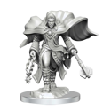 Dungeons & Dragons:Nolzur's Marvellous Miniatures - Aasimar Cleric Male