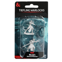 D&D Nolzur's Marvelous Unpainted Miniatures: Tiefling Warlocks
