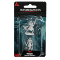 D&D Nolzur's Marvelous Unpainted Miniatures: Human Rangers