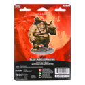 D&D Nolzur's Marvelous Unpainted Miniatures: Hill Giant - Image 3