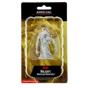 D&D Nolzur's Marvelous Unpainted Miniatures: Annis Hag