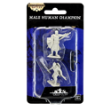 Pathfinder Battles Deepcuts Unpainted Miniatures Human Champion Male