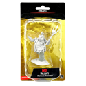 D&D Nolzur's Marvelous Unpainted Miniatures: Marid