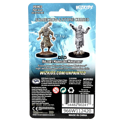 D&D Nolzur's Marvelous Unpainted Miniatures: Scarecrow & Stone Cursed - Image 3