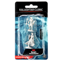D&D Nolzur's Marvelous Unpainted Miniatures: Kalashtar Cleric Female