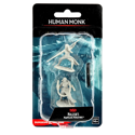 D&D Nolzur's Marvelous Unpainted Miniatures: Human Monk Female