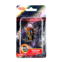 D&D Icons of the Realms Premium Figures - Dragonborn Sorcerer Female