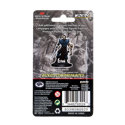 D&D Icons of the Realms Premium Figures - Human Warlock Male - Image 3
