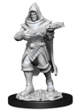 Pathfinder Battles Deepcuts Miniatures - Human Rogue Male